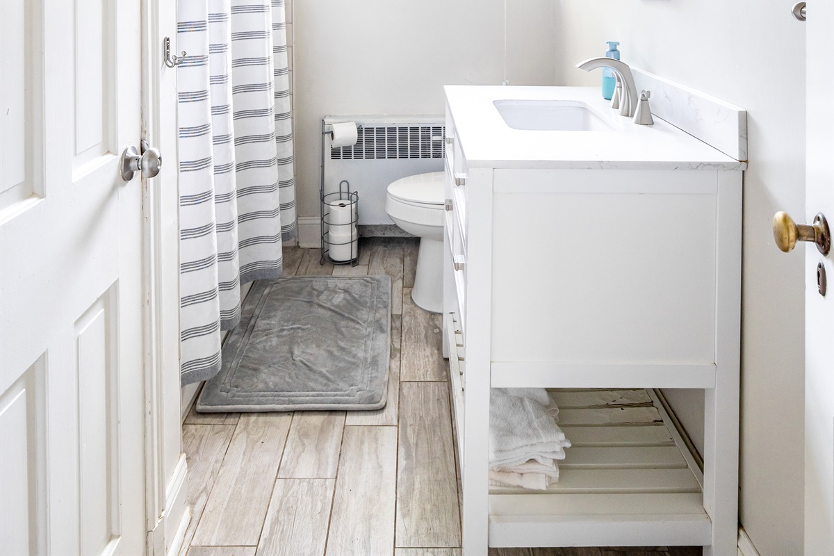 Downstairs hallway bathroom