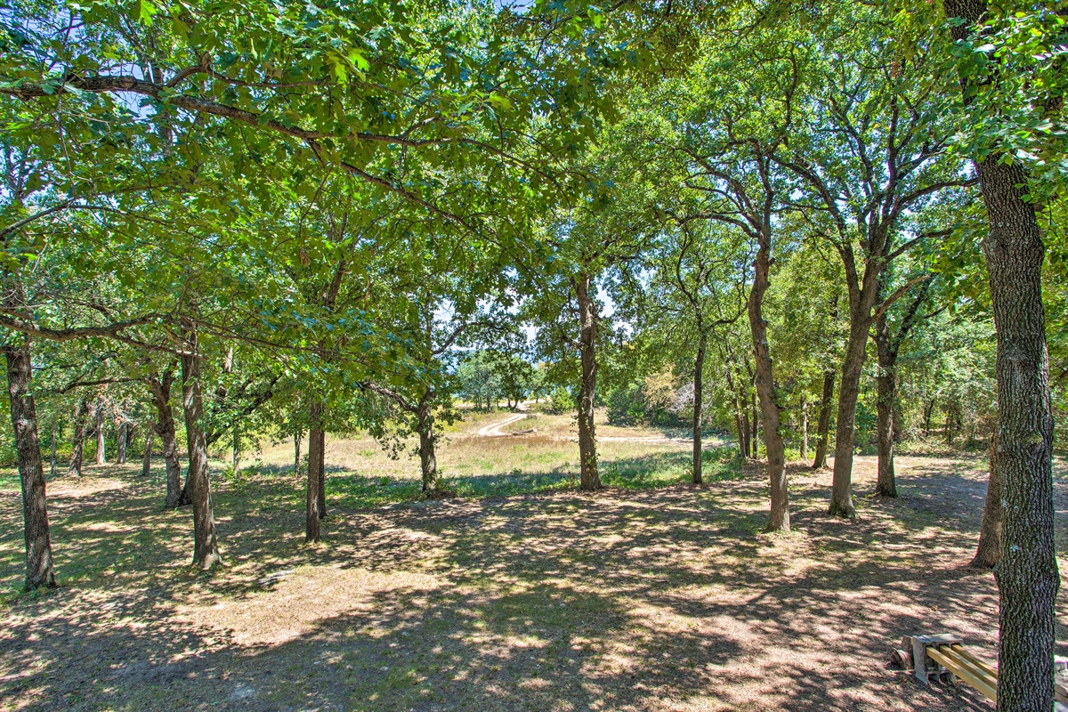 Wooded property, short walk to beach.