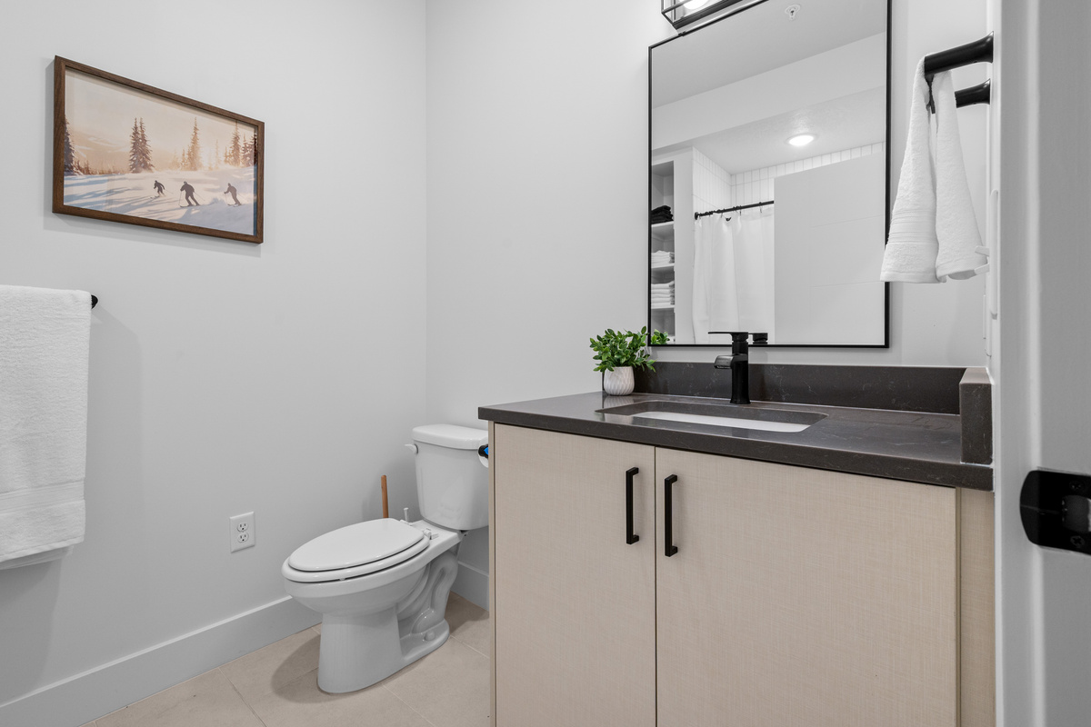 Main-level guest bathroom with modern vanity and walk-in shower.