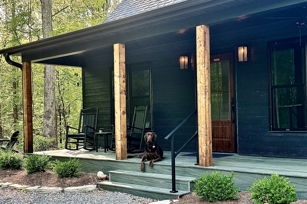 Pet Friendly- $50/pet, per stay