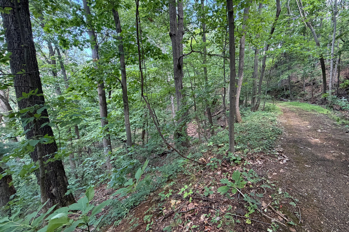 Numerous trails are on the 26 acre property, which you are free to use. We do have many wild animals to enjoy watching, but do take care and be safe. Read through the Guest Welcome Book about safety before you venture off.
