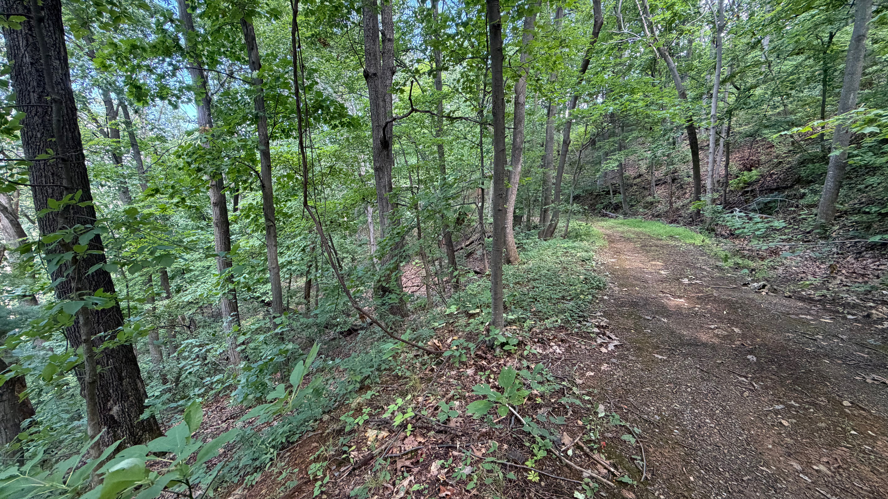Numerous trails are on the 26 acre property, which you are free to use. We do have many wild animals to enjoy watching, but do take care and be safe. Read through the Guest Welcome Book about safety before you venture off.