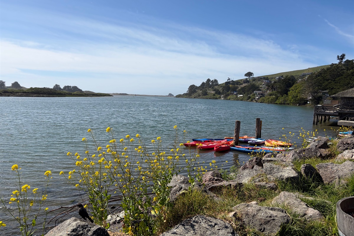 Have a picnic on the water at the scenic Aquatic Cafe in Jenner.