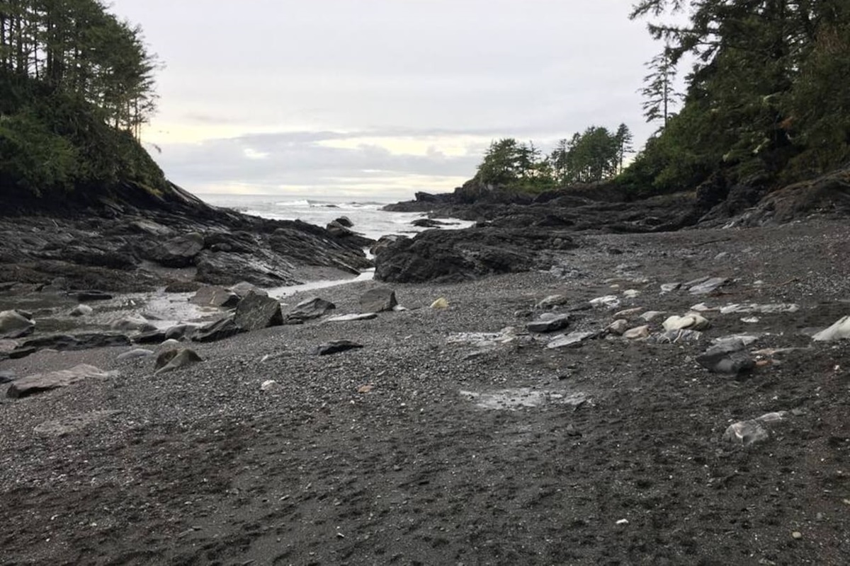 Botanical Beach 3