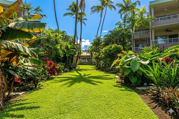A lush garden retreat where palms sway overhead and the pace softens—perfect for a quiet morning coffee or an evening pause as the island gently winds down.