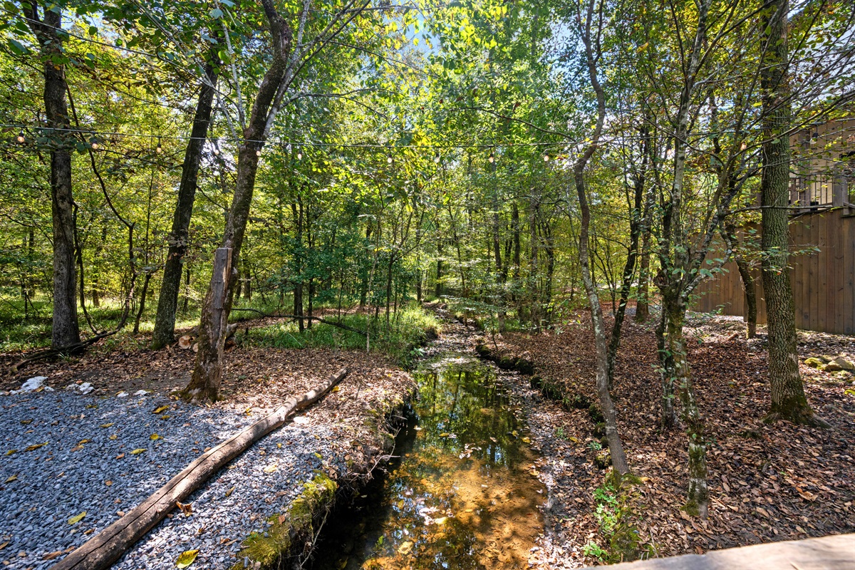 Peaceful wooded creek behind the cabin.