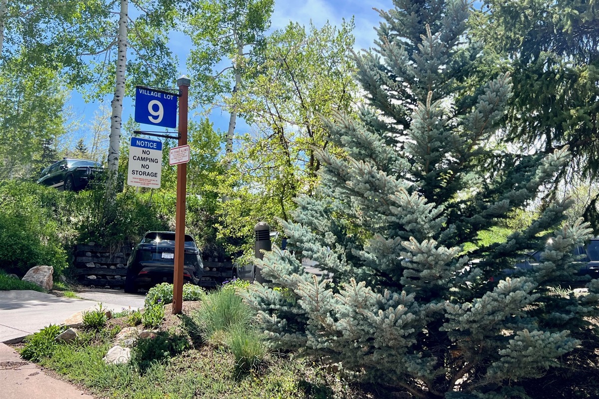 Plenty of parking available in the Carriage way lots.  Free in the summer, paid/permit in the winter.  Details in digital guidebook.