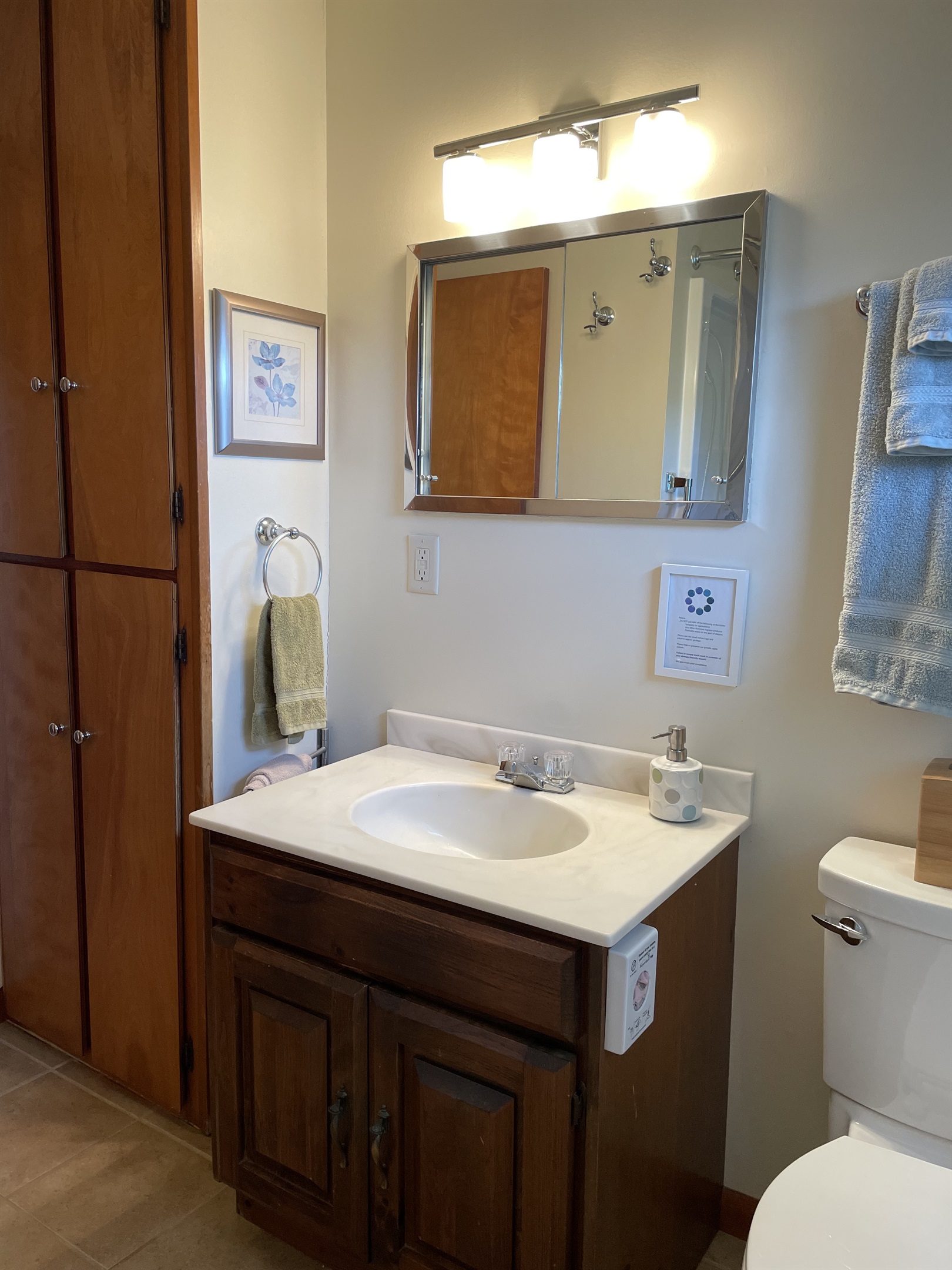 1st floor bath vanity