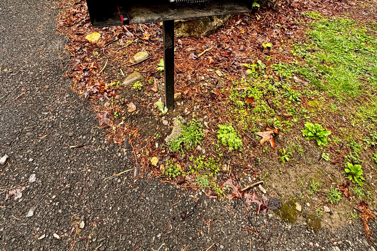 Charcoal grill (bring or buy your charcoal and lighter fluid)!