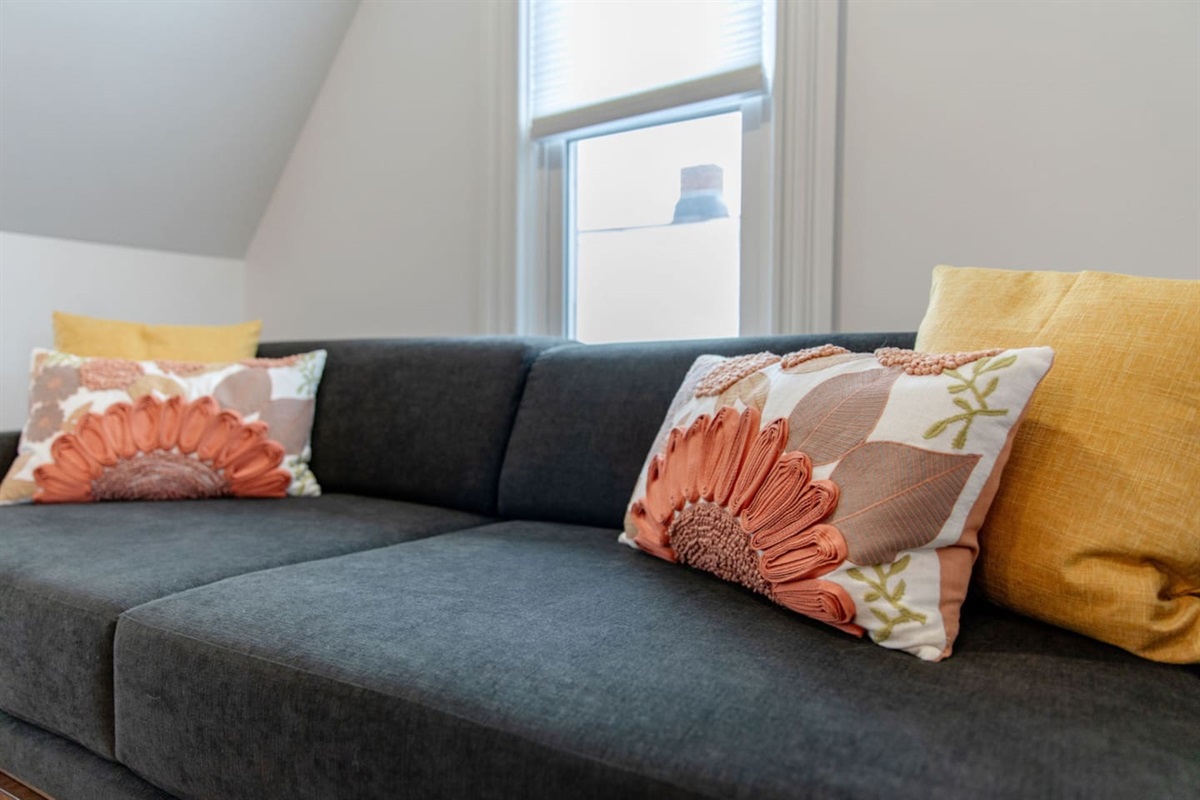 Couch and Pillows.