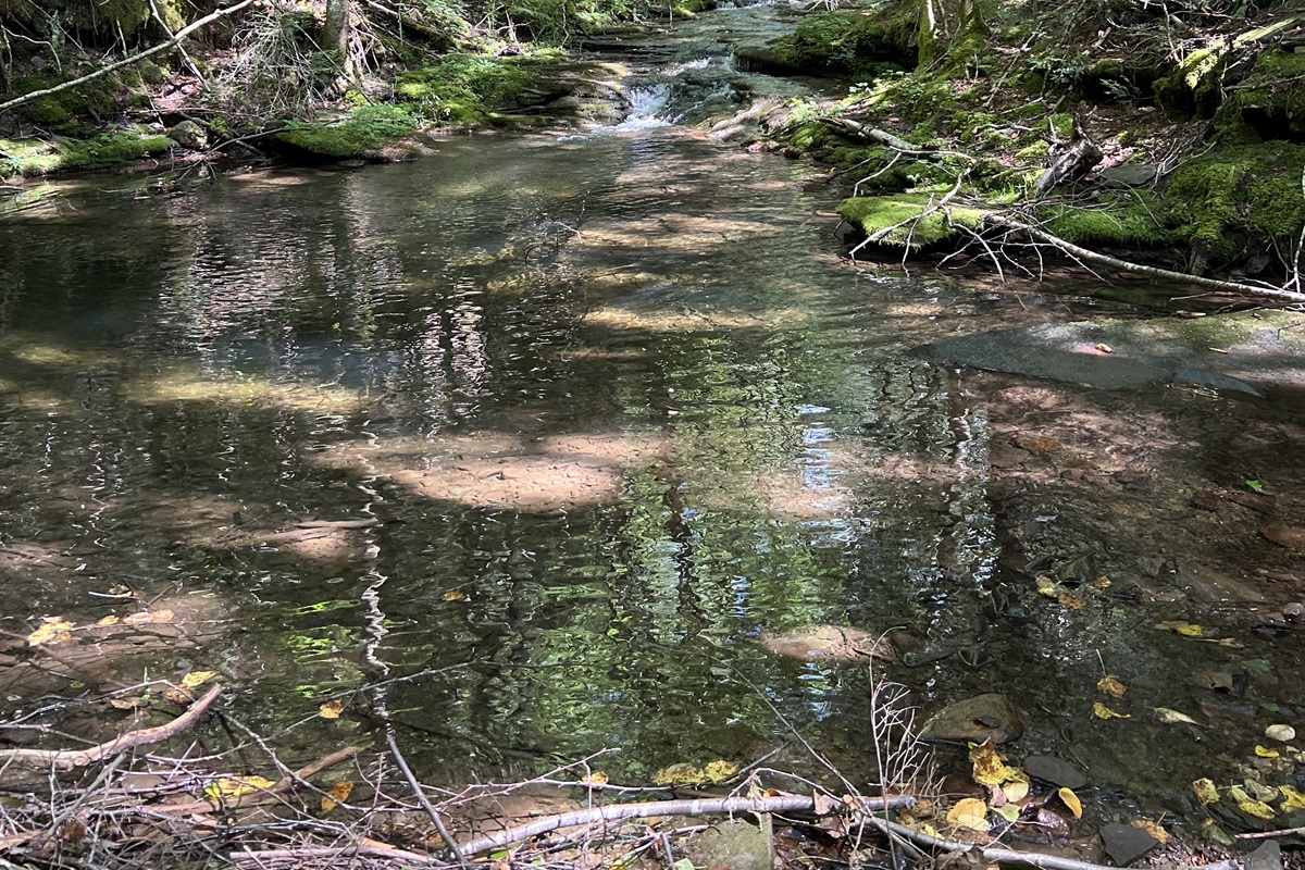 Creek and waterfalls, if you're up for a challenge