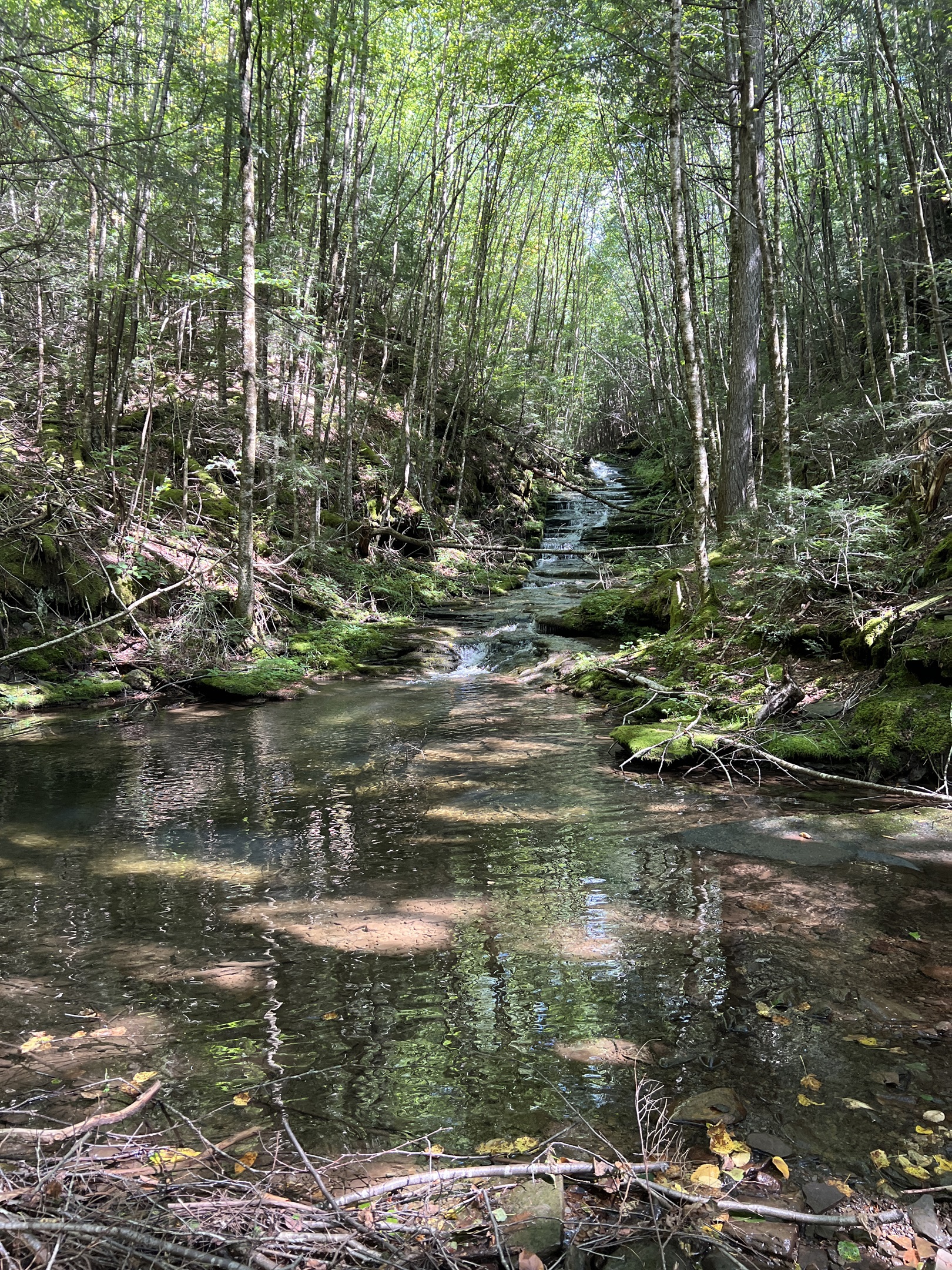 Creek and waterfalls, if you're up for a challenge