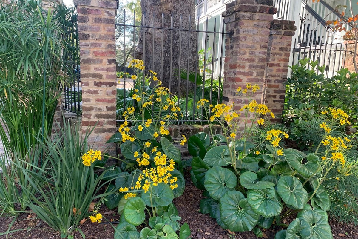 Beautiful landscaping throughout property