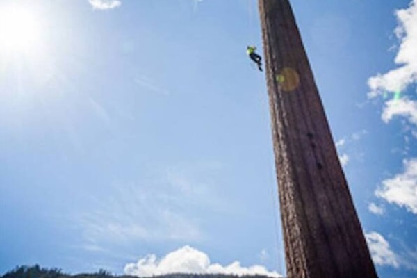 Scaling Big Lonely Doug.  He is BIG!