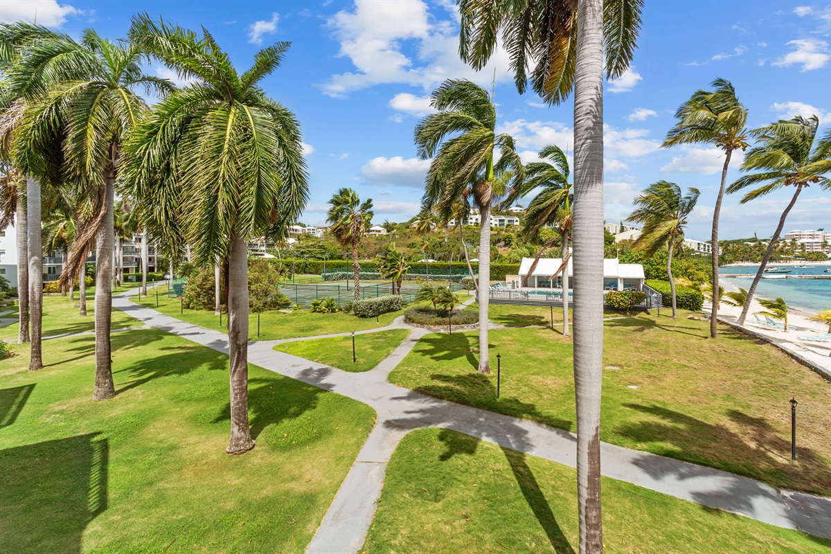 Beautiful palms, breezes, and walkways.