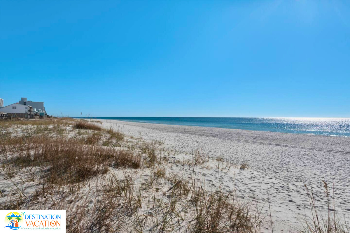 Golden dunes lead the way to endless horizons.