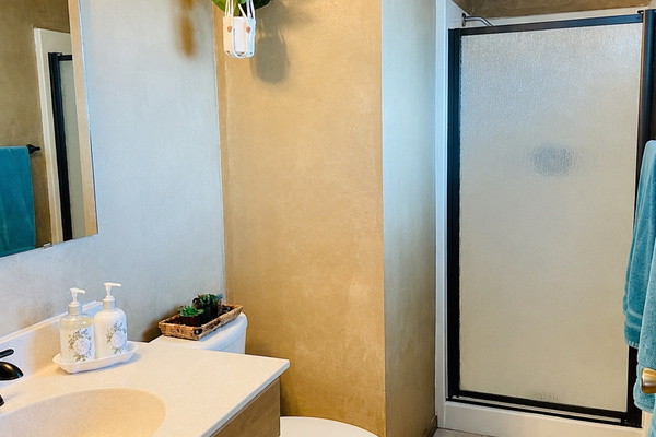 Bathroom vanity beside the walk-in shower