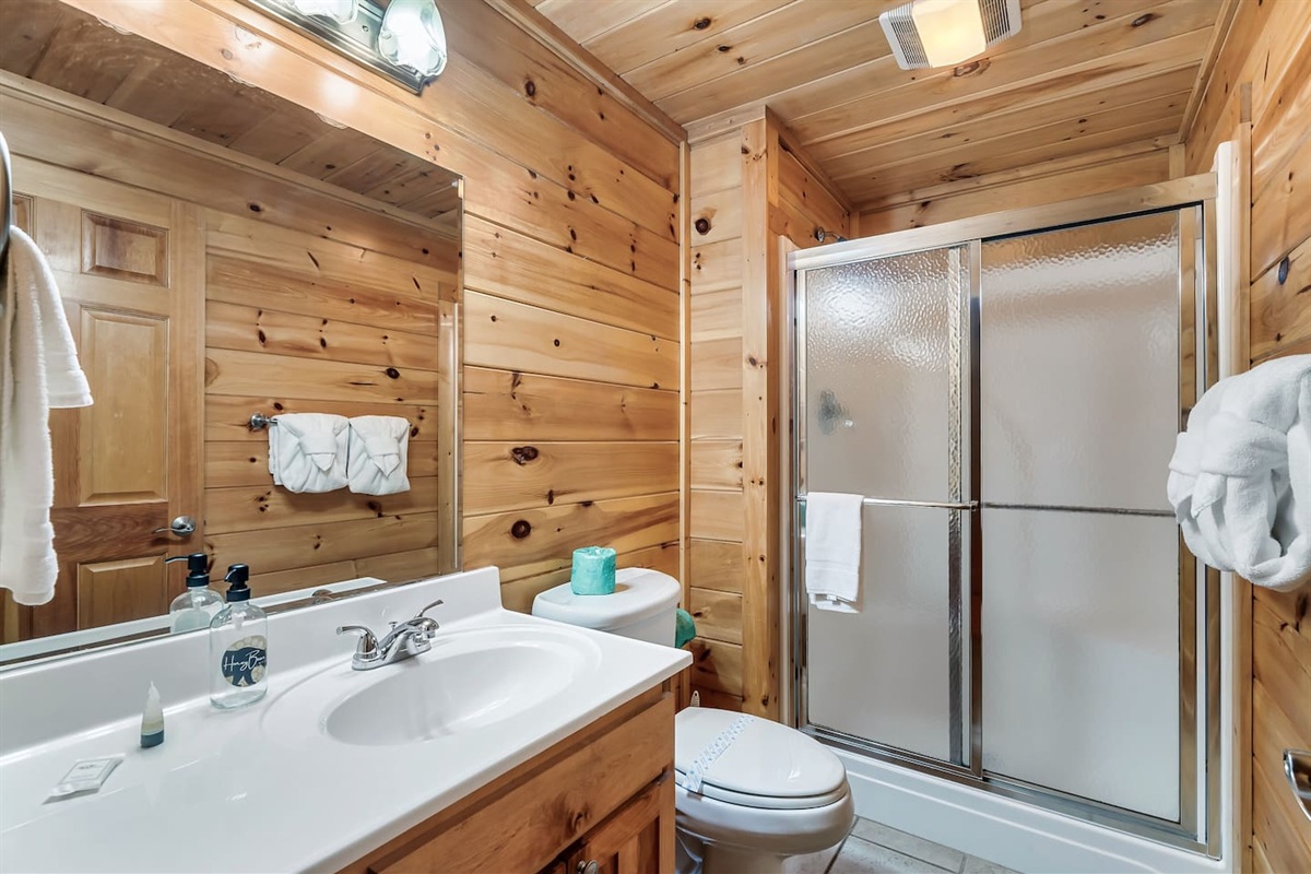 Lower Level Bathroom Shared by both bedrooms