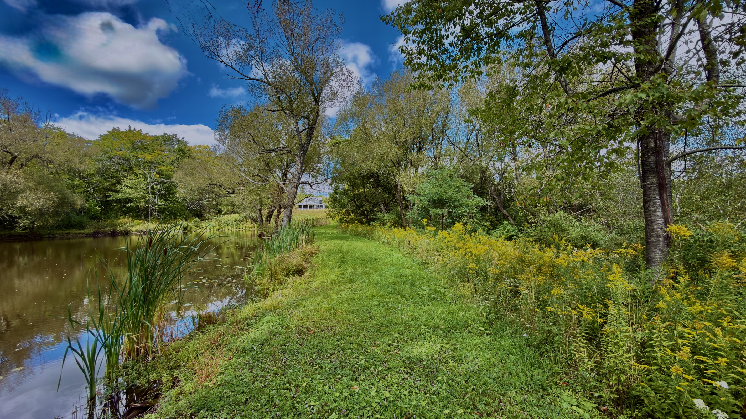 Pondside walking path along the edge of our private 4-acre property, featuring seasonal wildflowers and peaceful