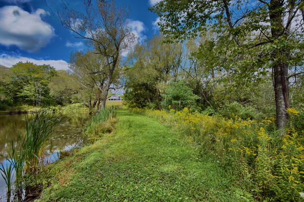 Pondside walking path along the edge of our private 4-acre property, featuring seasonal wildflowers and peaceful