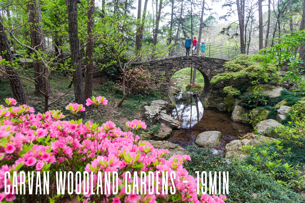 Stroll through the vibrant blooms at Garvan Woodland Gardens, a peaceful escape filled with stunning floral displays.