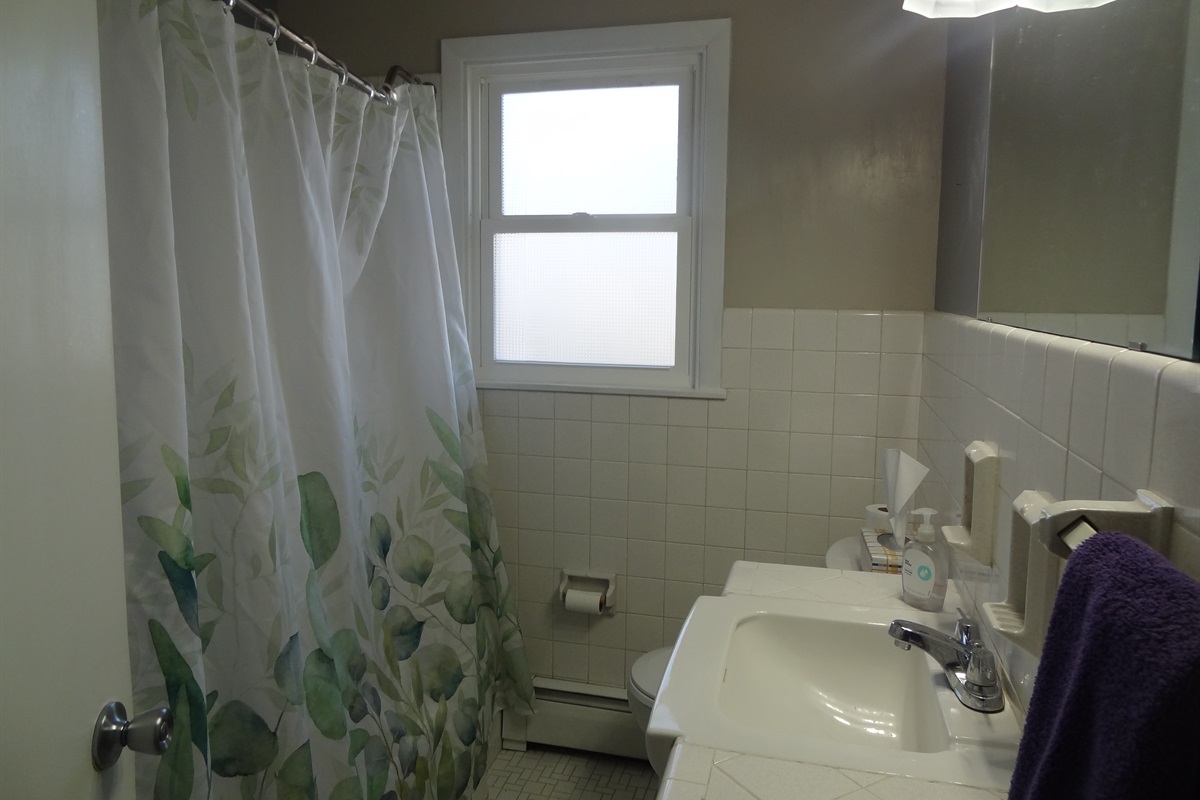 Full bathroom with shower/tub including handheld shower head