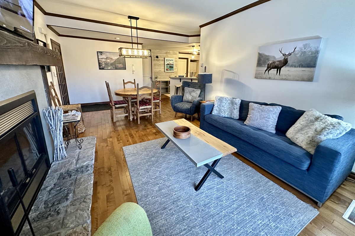 Living Area with Queen Sofa bed