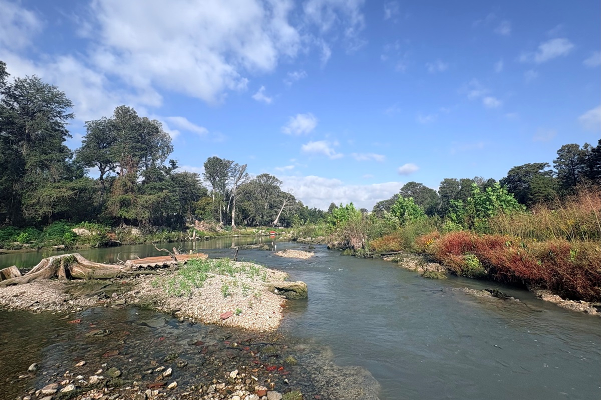 River (October 2025)