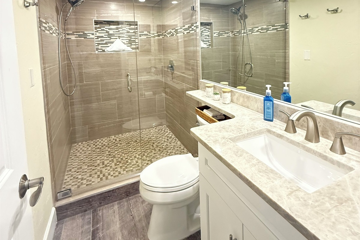 Guest Bathroom w/ extra large shower