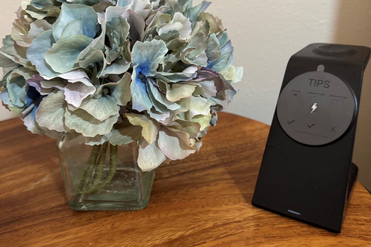 Wireless charger next to the bed charges your phone, earbuds and I watch.