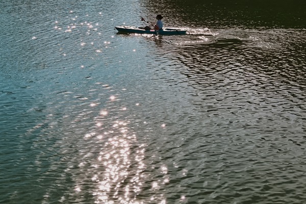 Take a peaceful kayak trip on Douglas Lake!