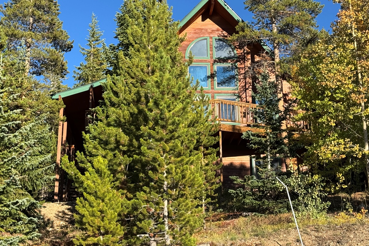 Front exterior in summer