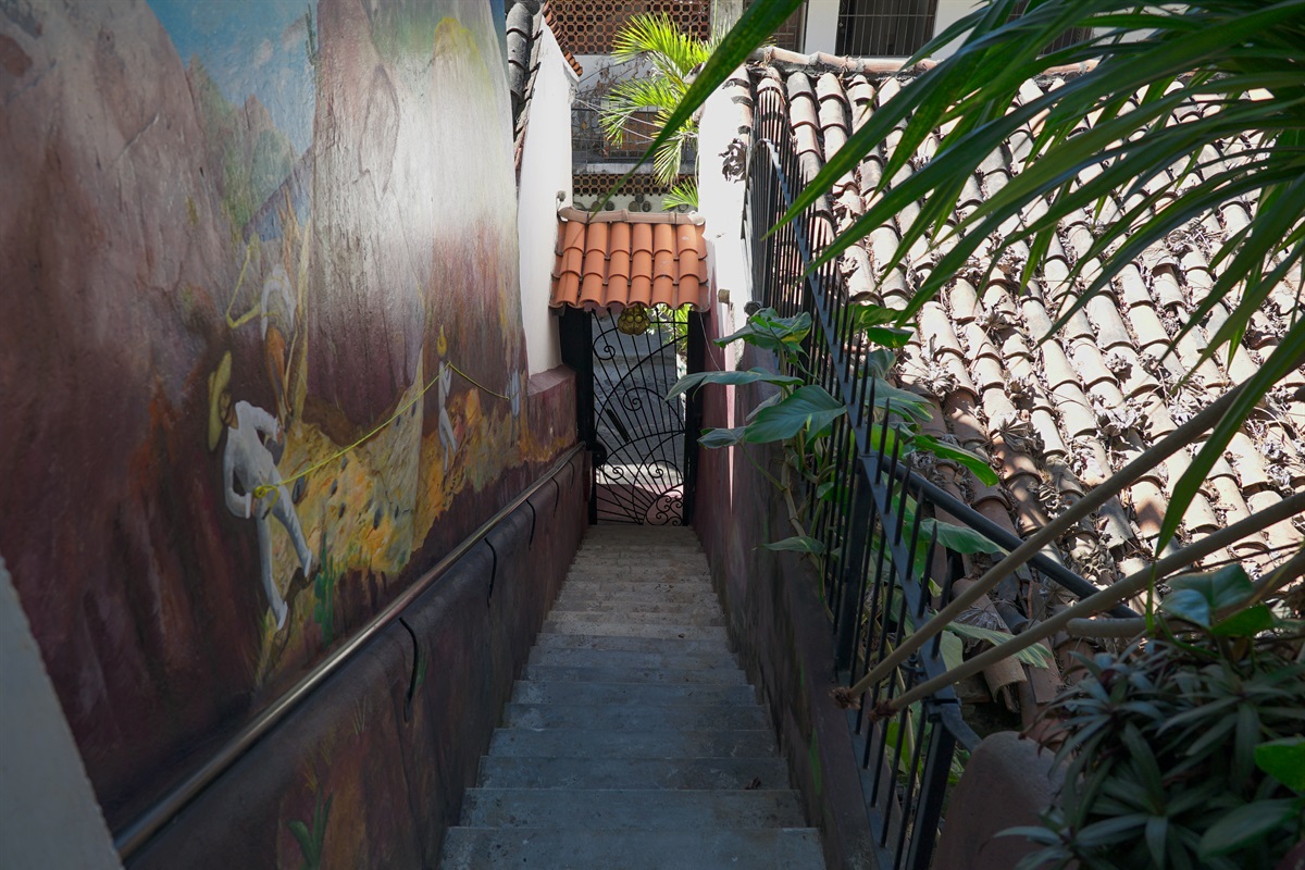 Murals throughout Vista Flores, painted by local artists.