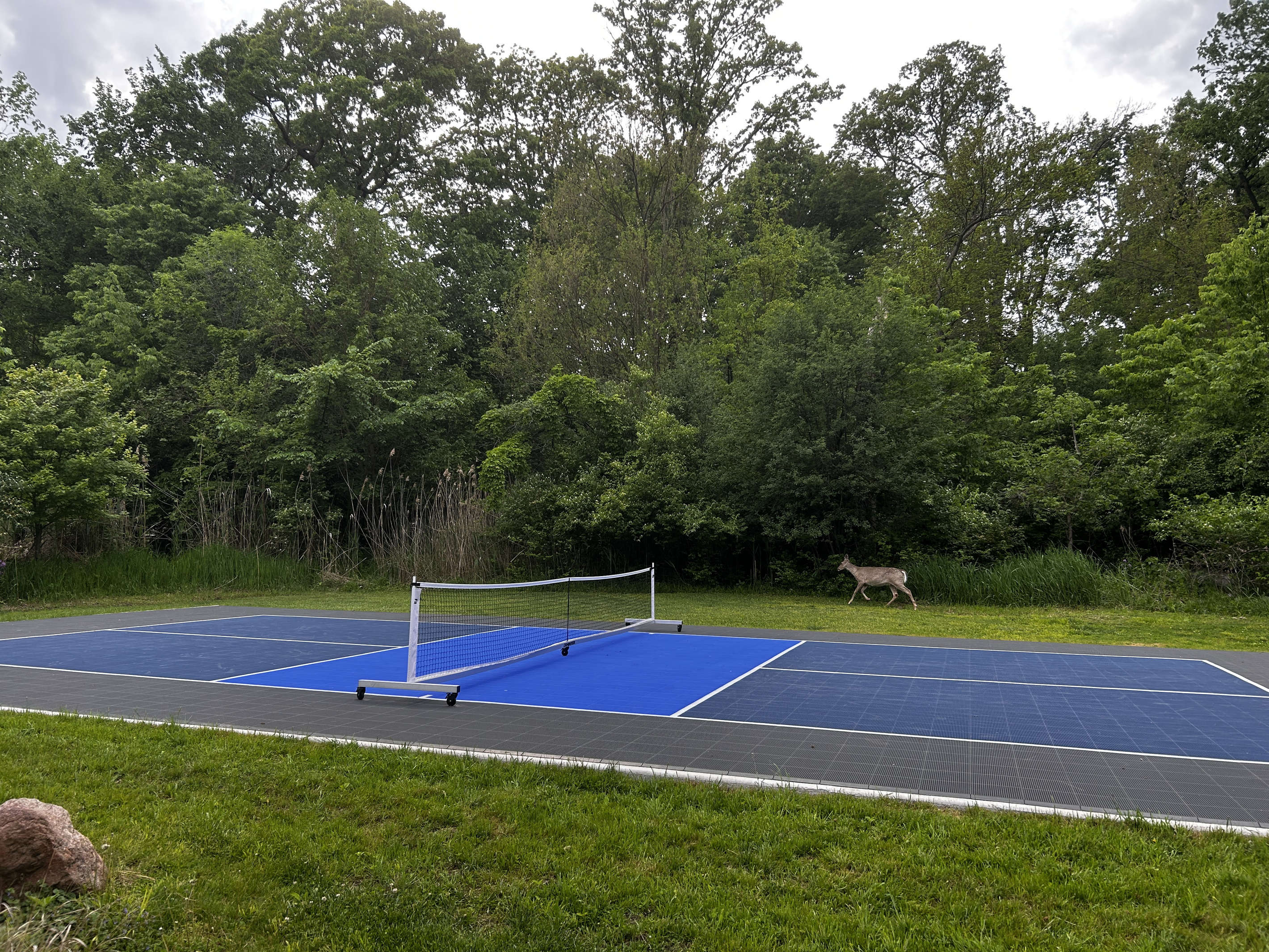 The pickleball court is usually fully shaded by 5 pm and you can expect to see deer walking by.