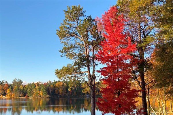 Fall in the Northwoods