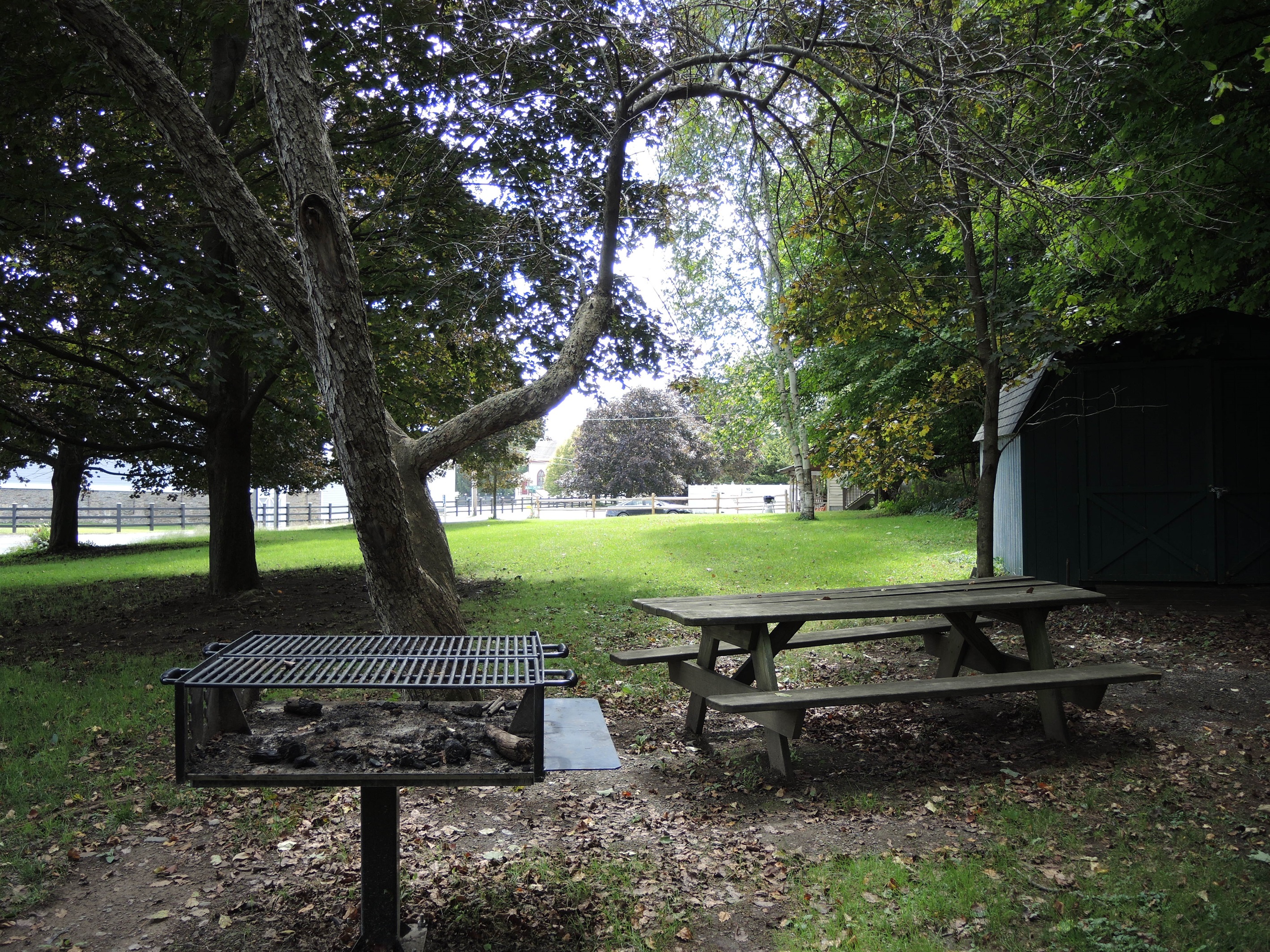 Picnic area with large grill
