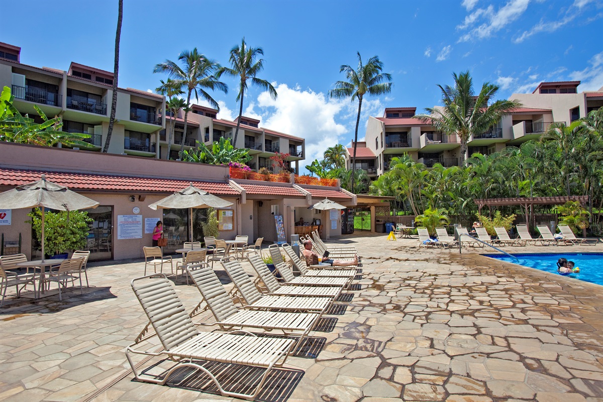 Plenty of poolside chairs to relax between swims