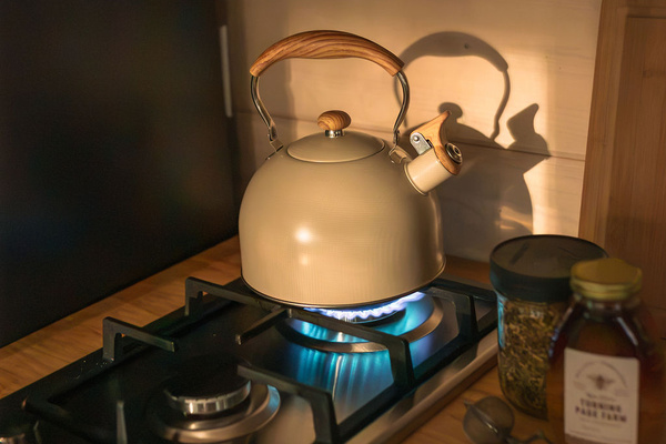 2 burner propane stove, skillets and pots provided