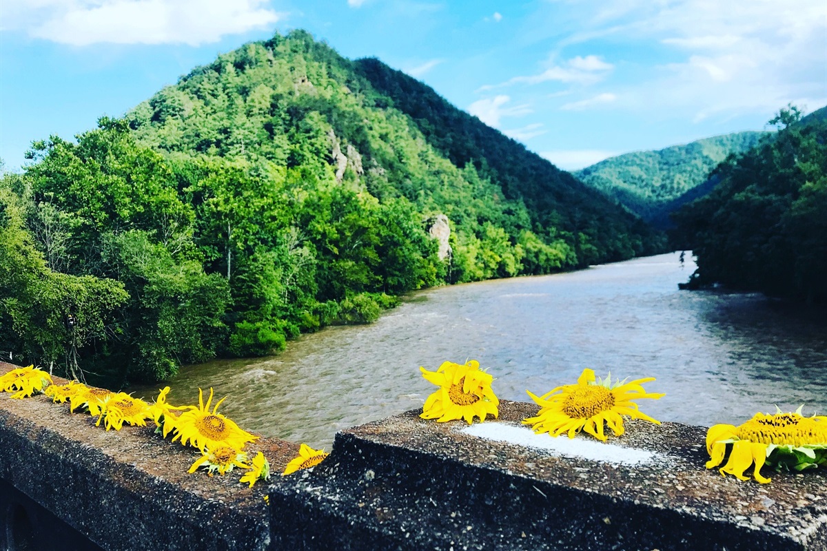 Lover's Leap Rock and French Broad River- walk from your cottage!