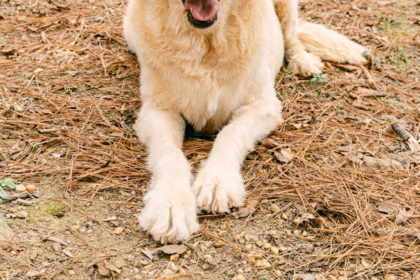 Good boys and girls always have a great time