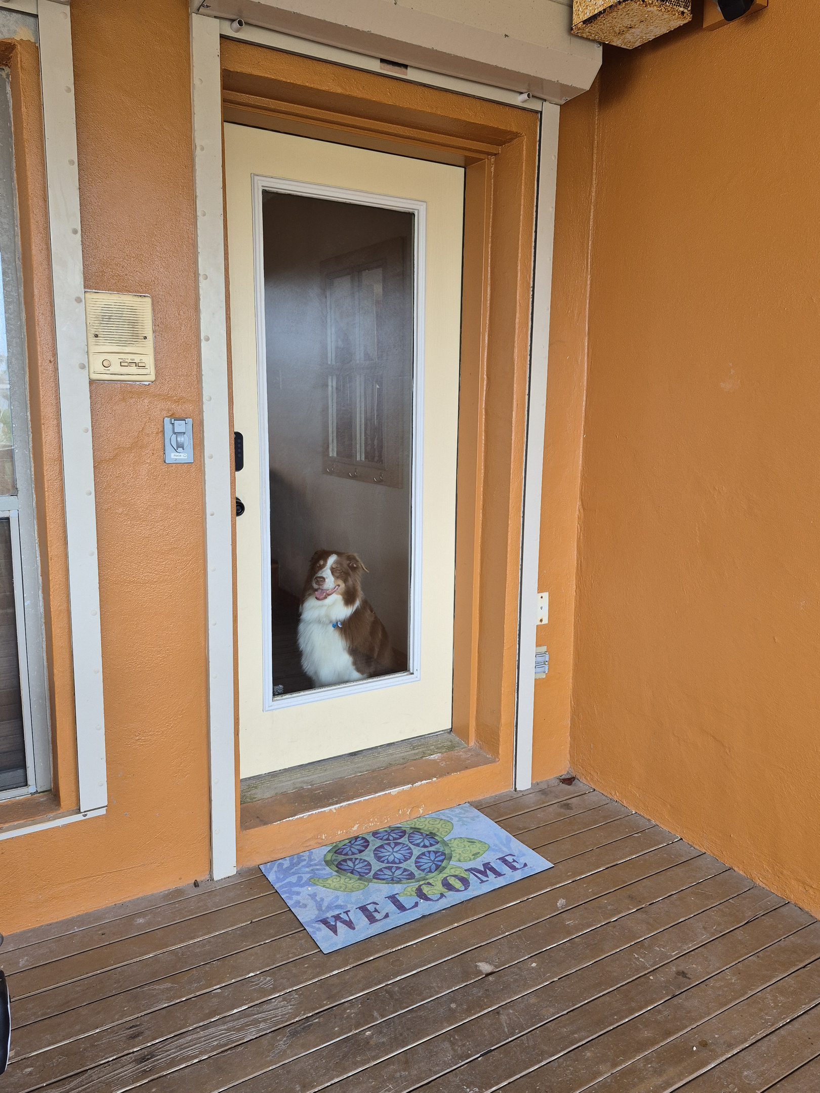Welcome to Ginger's Mission to Mars where pups are welcome!