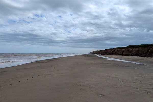 Local dog Friendly Beaches