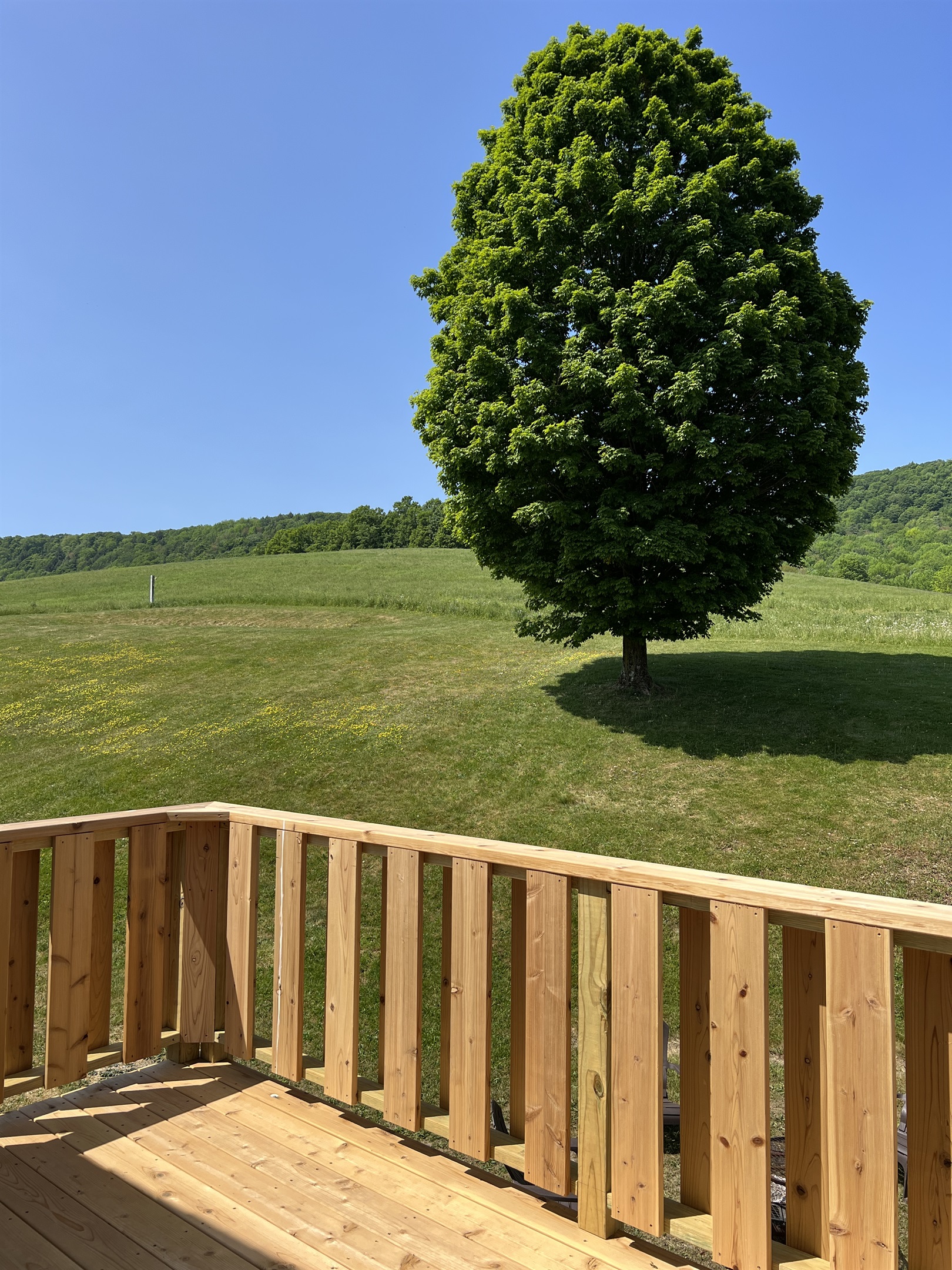 Roundtripper private balcony off King bedroom, perfect for morning coffee!