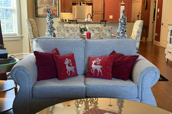 We have decorations from the beautiful tree right down to the decorative pillows