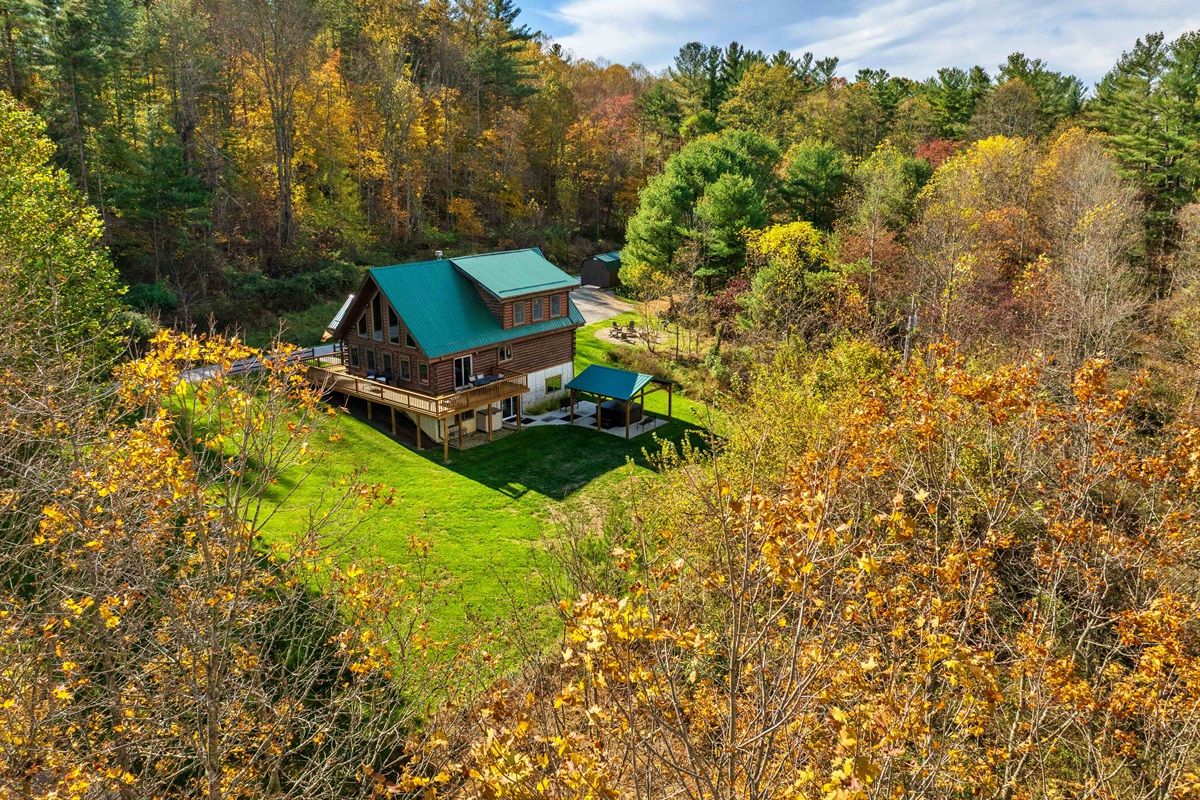 Beautiful trees surround the Lodge