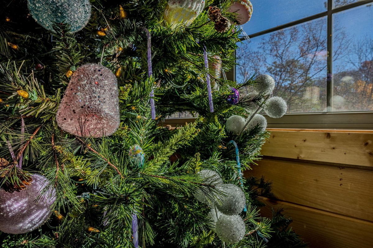 This cute Christmas tree at Moonrise Ridge!