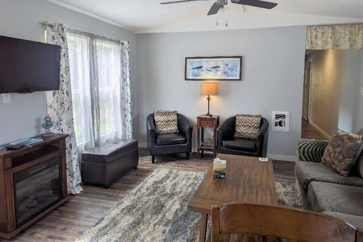 Living room with electric fireplace