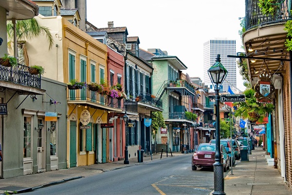 BURD'S NEST rental in New Orleans