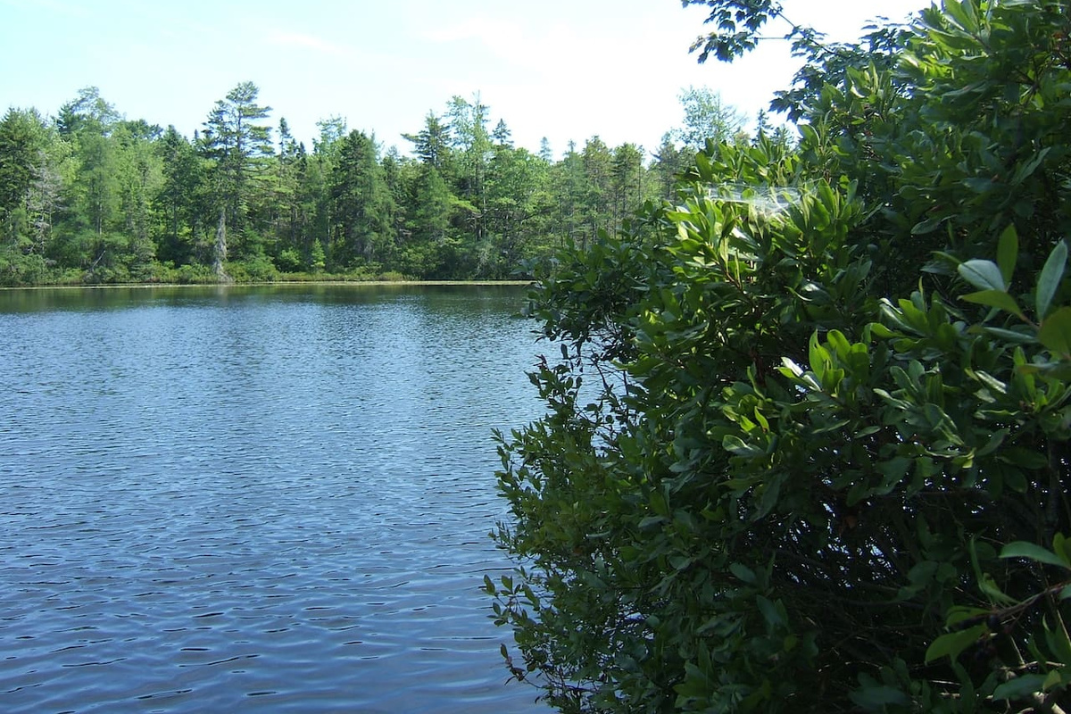 Just a glimpse of our pristine fresh water swimming hole on Dutch Neck. No houses, hidden from view and unknown to most. An unusual glacier formation.