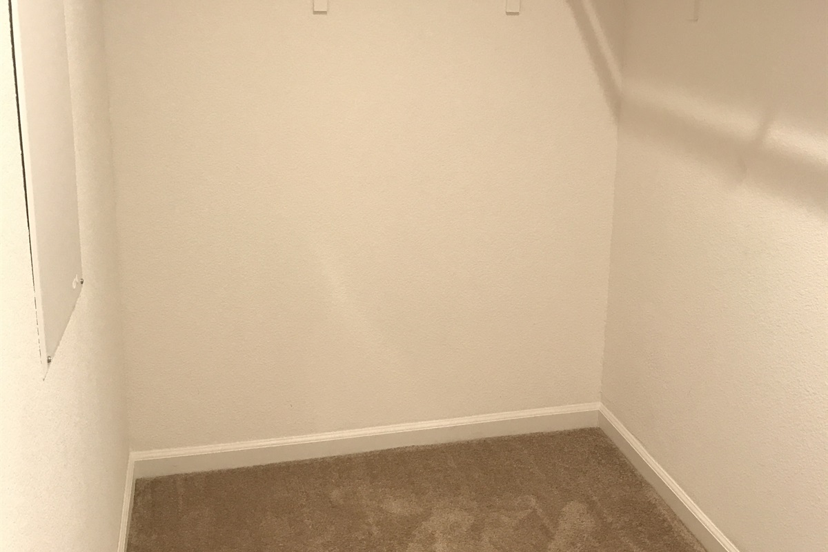 Master Bed Walk-in Closet